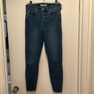 Liverpool Los Angeles Abby Skinny High Performance Eco Denim skinny jeans